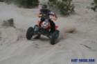 r6brroostertjimg_01039_small.jpg
