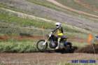 carnegiebruceimg_0228_small.jpg