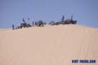 dunesimg_7668_small.jpg