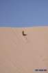 dunesimg_7693_small.jpg