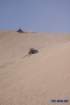 dunesimg_7695_small.jpg