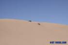 dunesimg_7781_small.jpg