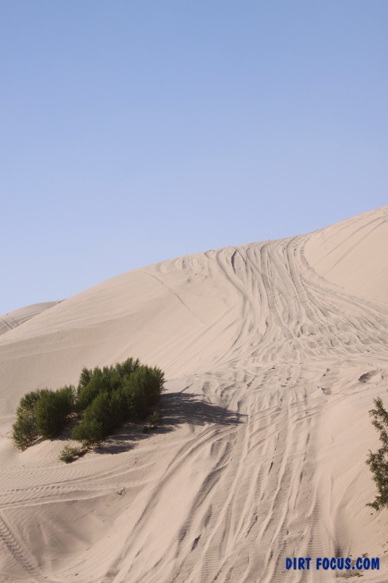 dunesimg_7816.jpg