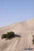 dunesimg_7816_small.jpg