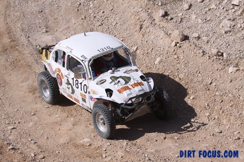 amint400tjimg_09872.jpg