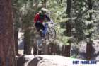 bigbearimg_7898_small.jpg