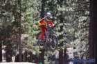 bigbearimg_7908_small.jpg