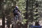 bigbearimg_7912_small.jpg