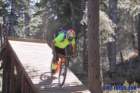 bigbearimg_8061_small.jpg