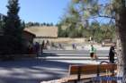 bigbearimg_8646_small.jpg