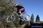 bigbearimg_8712_small.jpg