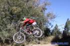 bigbearimg_8716_small.jpg