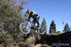 bigbearimg_8721_small.jpg