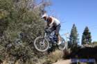 bigbearimg_8724_small.jpg