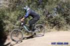 bigbearimg_8727_small.jpg