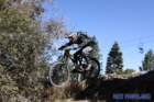 bigbearimg_8728_small.jpg