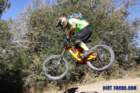 bigbearimg_8736_small.jpg