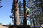 bigbearimg_8739_small.jpg