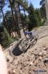 bigbearimg_8764_small.jpg