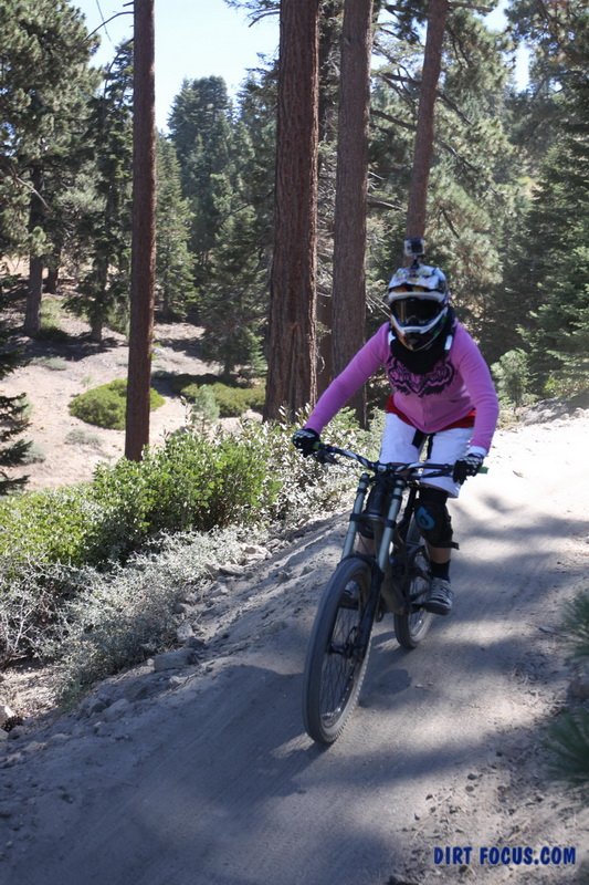 bigbearimg_8769.jpg