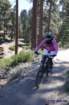 bigbearimg_8769_small.jpg