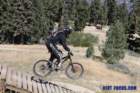 bigbearimg_8771_small.jpg