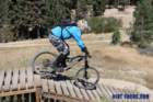 bigbearimg_8812_small.jpg
