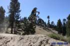 bigbearimg_8899_small.jpg