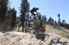 bigbearimg_8908_small.jpg