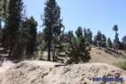 bigbearimg_8910_small.jpg