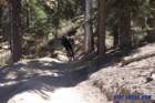 bigbearimg_8916_small.jpg