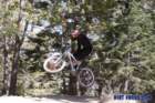 bigbearimg_8937_small.jpg
