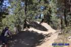 bigbearimg_8957_small.jpg