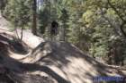 bigbearimg_9093_small.jpg