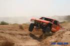ttcbimg_9029_small.jpg