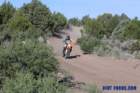 mccbimg_8052_small.jpg